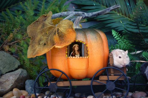 Cinderella Carriage